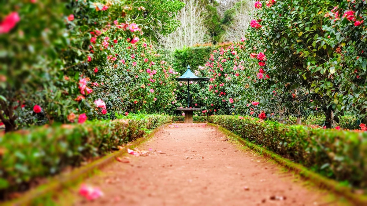 Landscapers